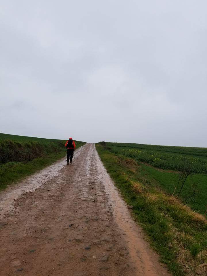 Dag 11: een mislukt experiment