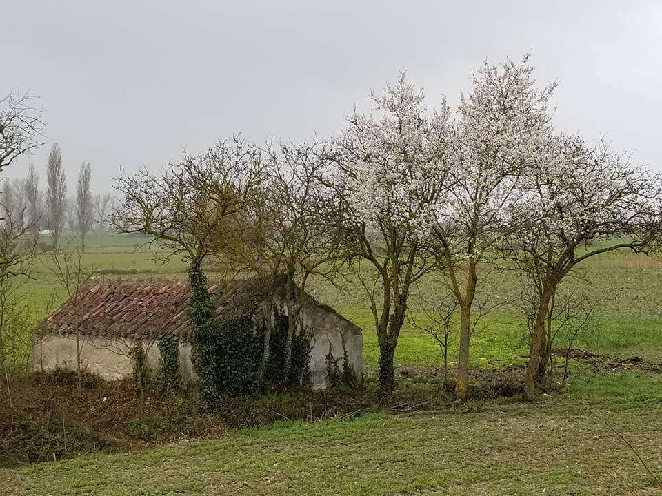 Dag 17: de eenzame Mesetas (2)