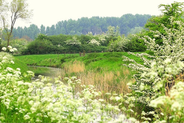 Zak van Zuid-Beveland